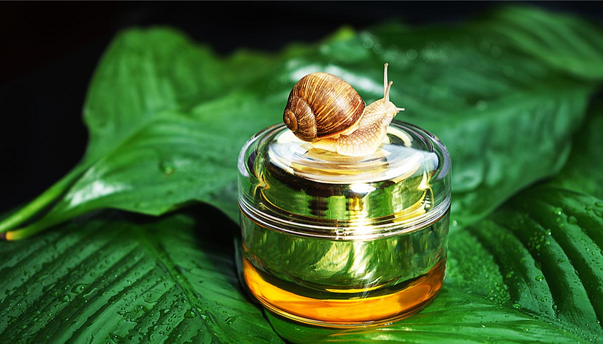 The benefits of snail lime and what to look for before you buy.