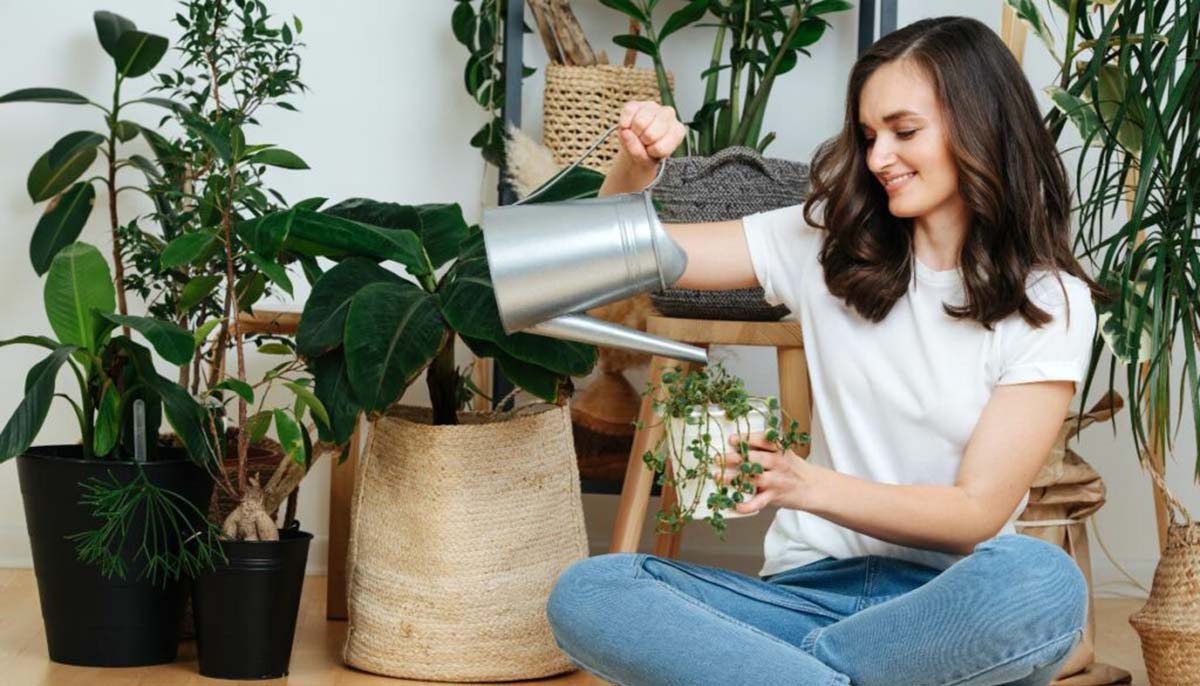 Woman watering a plant